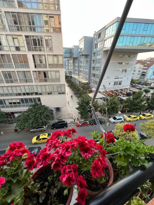 Mimosa'S Apartment With Lovely Balcony ติรานา ภายนอก รูปภาพ
